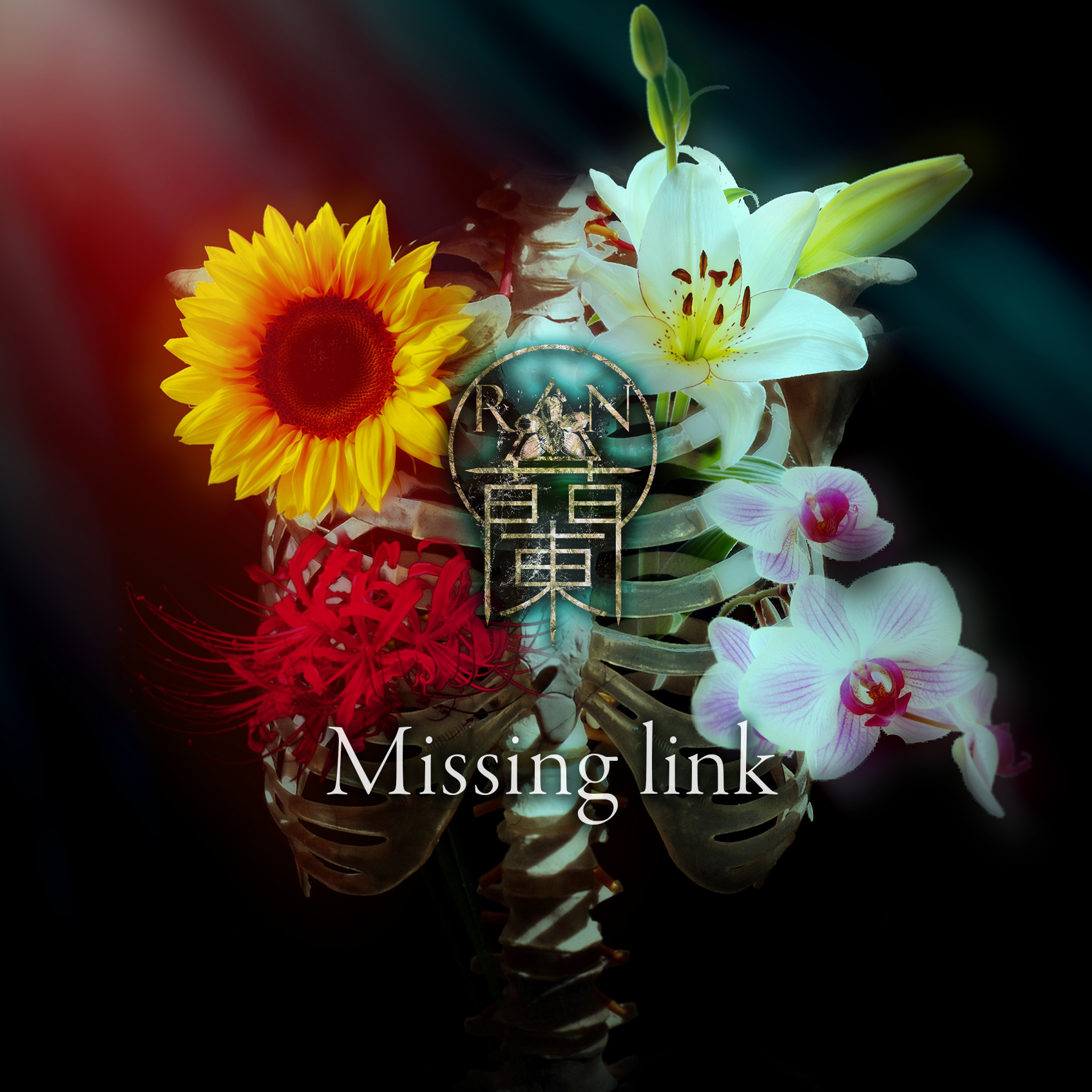 蘭 Mini Album「Missing link」release